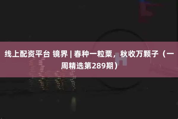 线上配资平台 镜界 | 春种一粒粟，秋收万颗子（一周精选第289期）