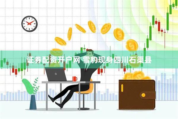 证券配资开户网 雪豹现身四川石渠县