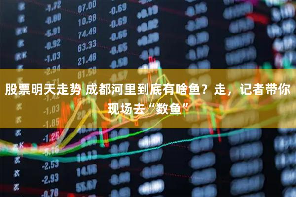 股票明天走势 成都河里到底有啥鱼？走，记者带你现场去“数鱼”