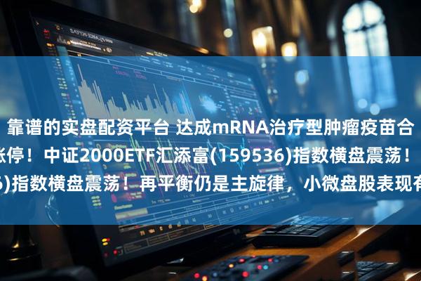 靠谱的实盘配资平台 达成mRNA治疗型肿瘤疫苗合作，康希诺20cm涨停！中证2000ETF汇添富(159536)指数横盘震荡！再平衡仍是主旋律，小微盘股表现有望占优！